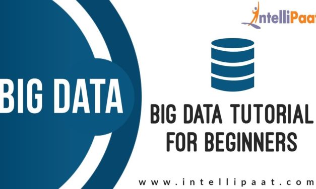 Big Data Tutorial For Beginners | What is Big Data | Big Data and Hadoop Tutorial | Intellipaat