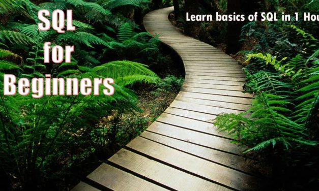 SQL for Beginners. Learn basics  of SQL in 1 Hour
