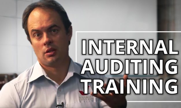 How to Conduct Internal Audits – Tips from the CEO