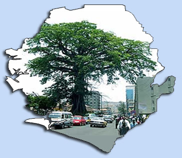 Freetown and the great Cotton Tree