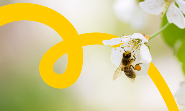 Embracing Change: The Story And Rebranding Of eLearning Industry